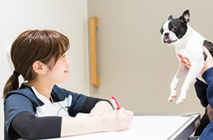 問診を行い、症状などを伺います。
