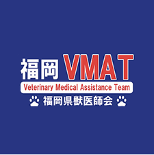 福岡VMATについて