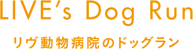 LIVE's Dog Run リヴ動物病院のドッグラン