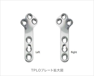 TPLO　プレートイメージ図