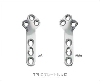 TPLO プレートイメージ図